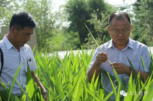 敦煌種業(yè)種子營(yíng)銷(xiāo)分公司—通過(guò)組織黑龍江農(nóng)戶(hù)開(kāi)展體驗(yàn)之旅活動(dòng)進(jìn)一步提升公司的社會(huì)形象