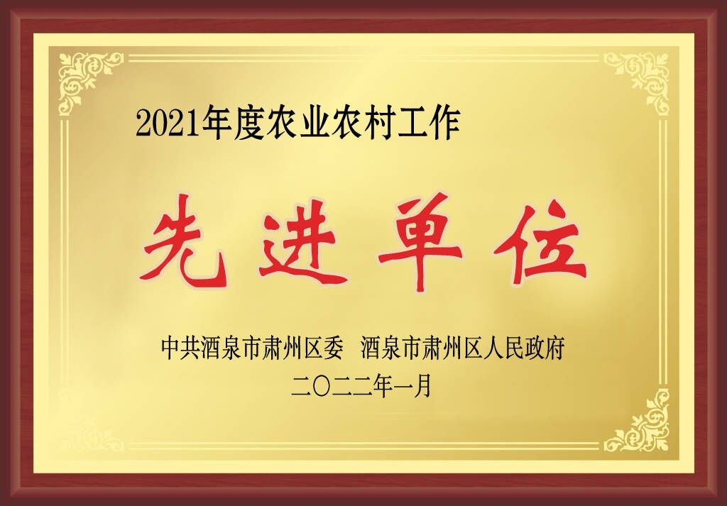 敦煌種業(yè)在肅州區(qū)經(jīng)濟(jì)暨農(nóng)業(yè)農(nóng)村工作會上獲三項(xiàng)獎(jiǎng)
