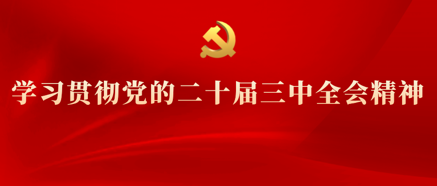 學(xué)習(xí)專欄 | 黨的二十屆三中全會精神解讀(十一)